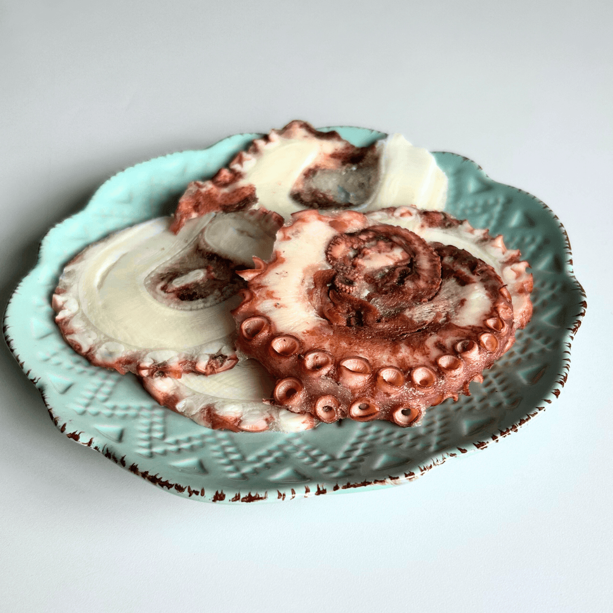 Slice de Pulpo del Norte